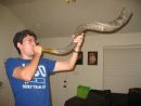 Shofar Factory
